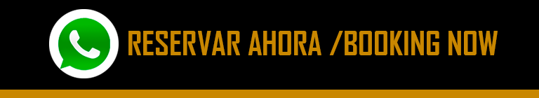 contacto whatsapp de escorts gay Medellin